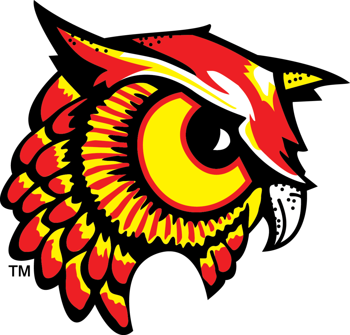 Bradford Owls logo